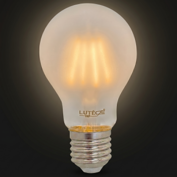 Ampoules LED Filament Dépolie Standard - E27 / 6W / 750lm / 2700K / E (x2pcs)