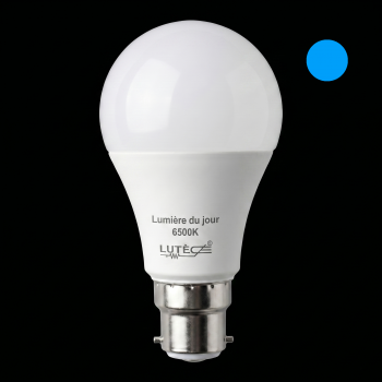 Ampoule LED Standard - B22 / 11,1W / 1055lm / 6400K / F