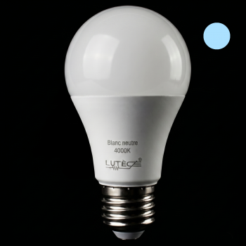 Ampoule LED Standard - E27 / 5.9W / 806LM / 4000K / D