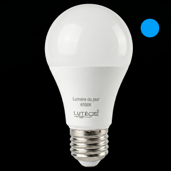 Ampoule LED standard - E27 / 5.9W / 806lm / 6500K / D